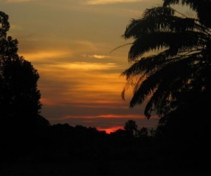 Sunset in the plain (llanos).  Source:  flickr com By: andariegahenao@yahoo.es